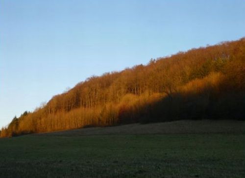 heidi.findeis@web.de