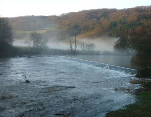 heidi.findeis@web.de