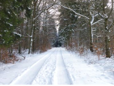 Winterweg