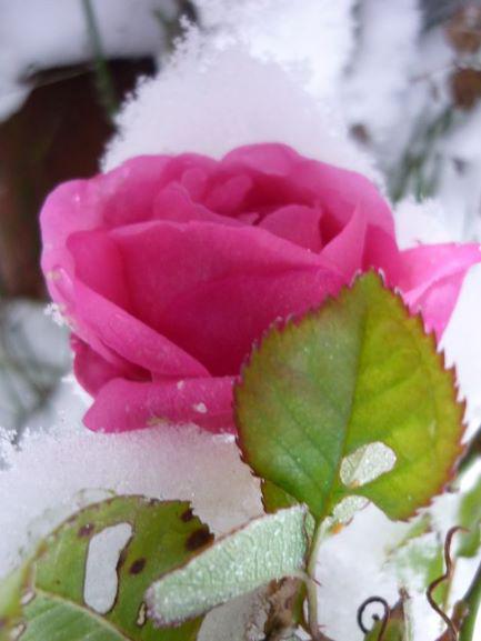 heidi.findeis@web.de