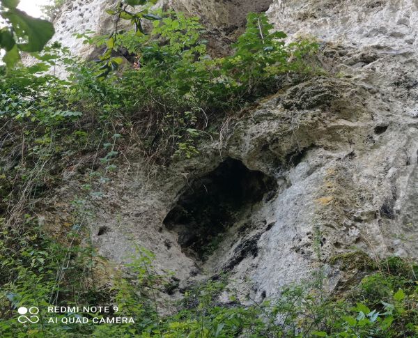 heidi findeis